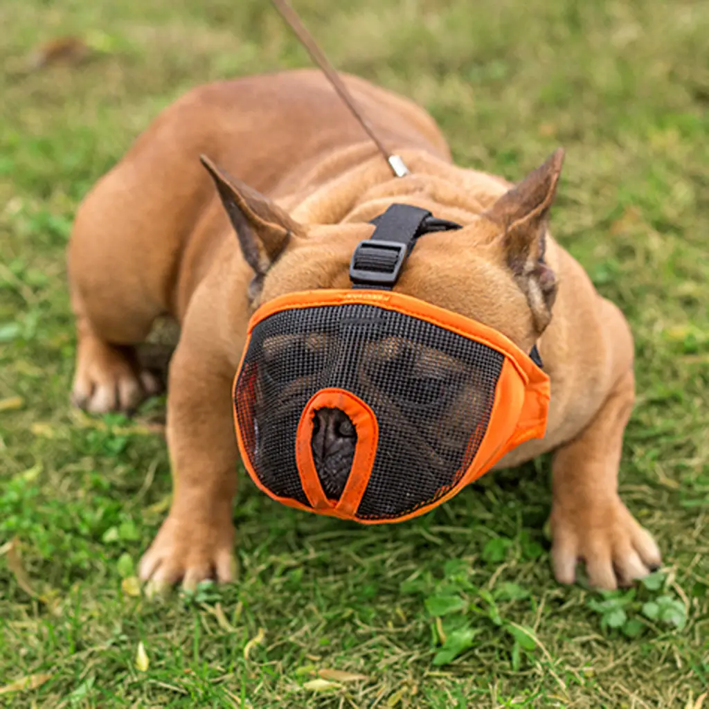 Bozal Para Perros Braquicéfalos Talla M